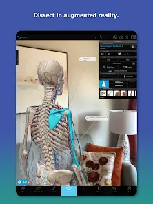 Human Anatomy Atlas 2027 - скриншот 9