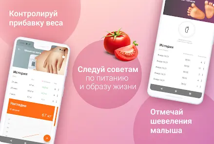 Календарь беременности по дням - скриншот 1