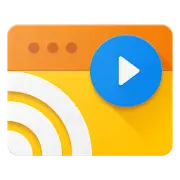 Web Video Cast