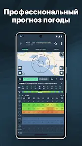 Windy.app: погода и ветер - скриншот 1