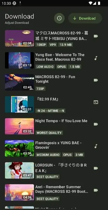 YTDLnis Downloader - скриншот 4