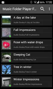 Music Folder Player Full - скриншот 4